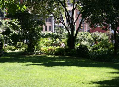 Summer View
