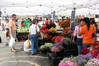 Flowers & Produce