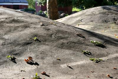 Playground Mounds