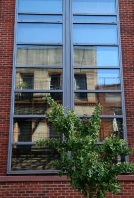 NYU Law School Window Reflections