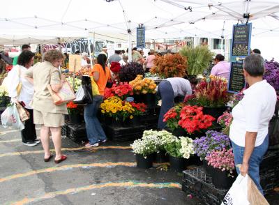 Flower & Produce Markets