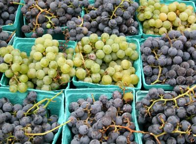 Concord Grapes