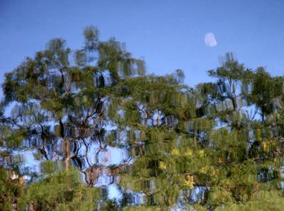 Reflection - Washington Square West Skyline