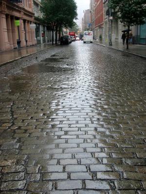 A Morning Walk in the Rain