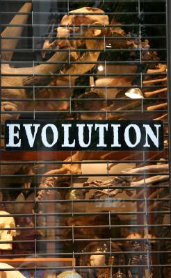 Evolution Store