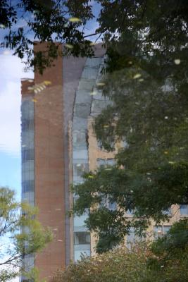 NYU Student Center Puddle Reflection