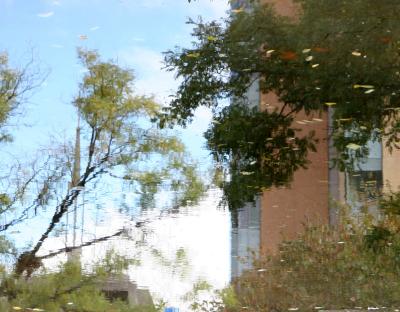 NYU Student & Catholic Centers Puddle Reflection