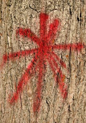 Elm Tree Bloody Vandals