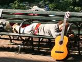 Washington Square Park - A Place in the Sun