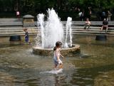 Wading on a Hot Summer Day
