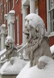 Snow Lions at  NYU Graduate Arts & Sciences Offices