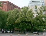 NYU Library & Student Center