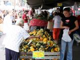 Decorative Gourds