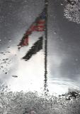 Flags Reflected in a Puddle of Water