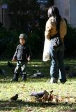 Feeding the Squirrels and Pigeons