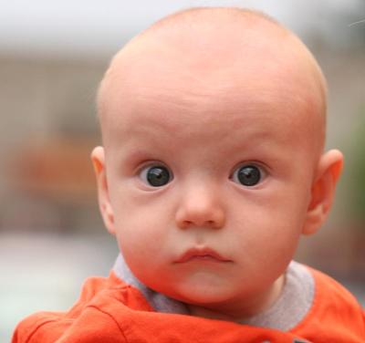 v3/26/476126/3/47704180.Bryson4.jpg