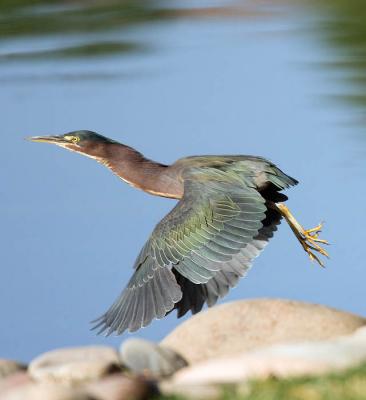 Takeoff