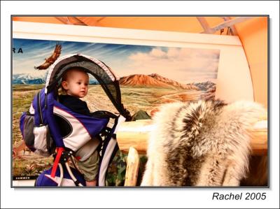 little climber-Denali national park