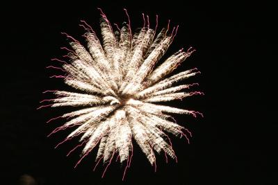 Local Fireworks