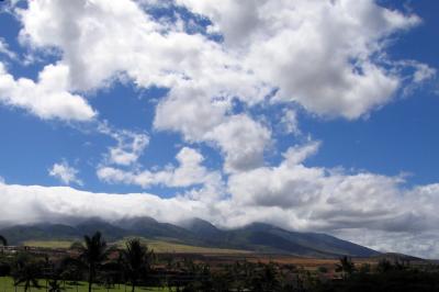 CRW_0401.jpg