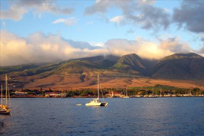 Maui