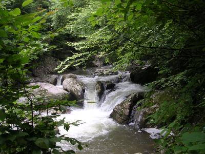 v3/26/536726/3/45118239.Photo4.jpg
