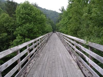 v3/26/536726/3/45118248.Photo14.jpg
