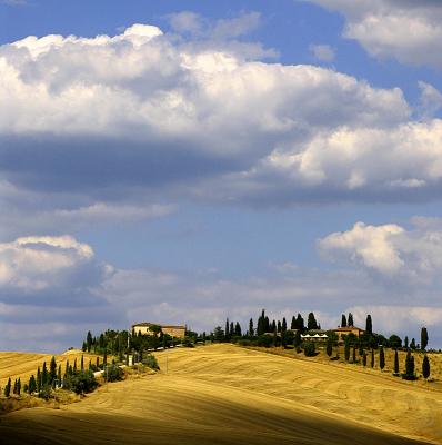 between Siena & Asciano,S438