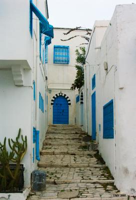 PICT2776.jpg