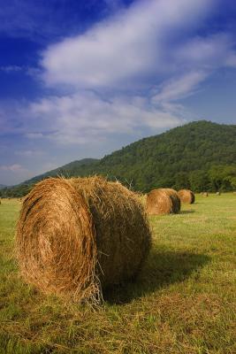 Hay Bales in North Georgia