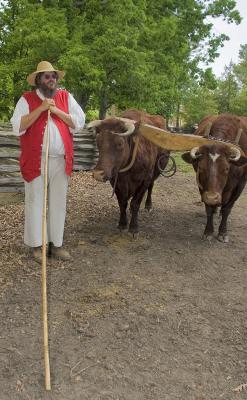 Farmer with Oxen