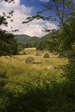 North Georgia  Mountain Valley