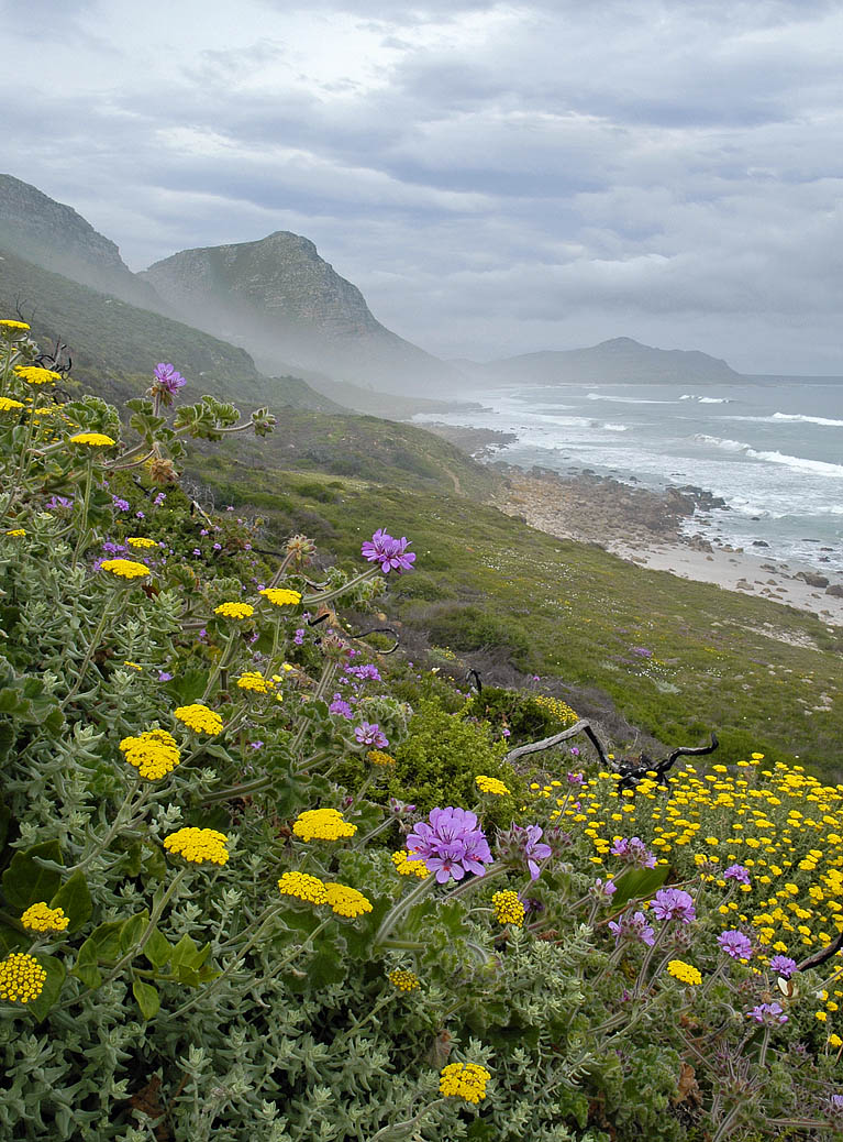 Cape Peninsula coastline