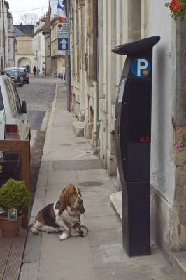 Watching the parking meter, Beaune, France