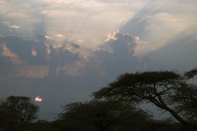Sunrise in Mkuze Game Reserve
