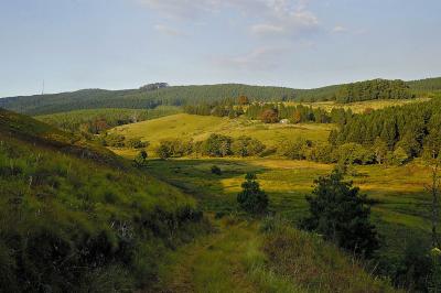 Woodbush Forestry Station