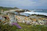 Cape Peninsula coastline