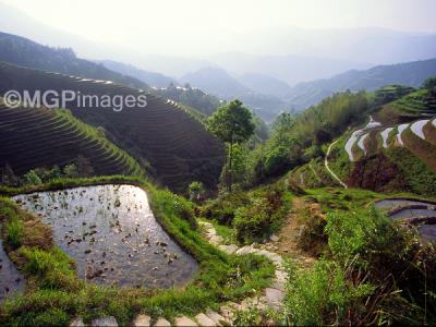 v3/26/585526/3/48465595.18Longsheng8RP.jpg