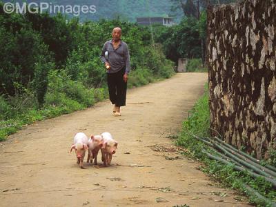 Yangshuo, Guangxi, China