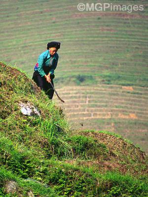 Longsheng, Guangxi, China