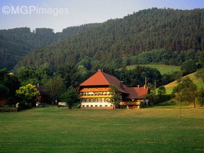 Black Forest, Germany