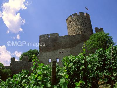 v3/26/585526/3/48686925.38CastillodeKaysersberg.jpg