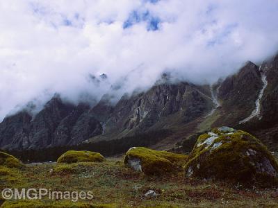 Yumthang Valley, Sikkim, India