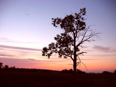 Beautiful sunrise on the next day too