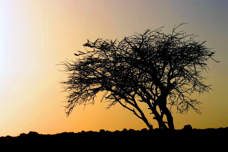 Places Nature and landscapes