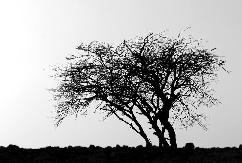 Places Nature and landscapes