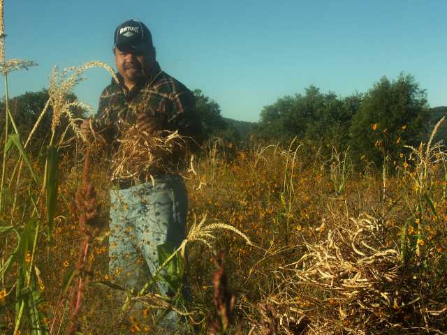 0556-Martin Gathering Beans.jpg