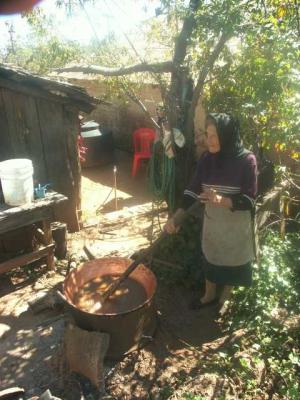 0501-Making Apple Butter in Copper Kettle.jpg