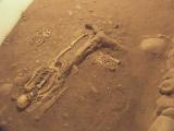 0791-Bones of Father Kino.jpg