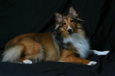 Skye